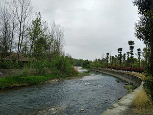 成都市溫江區萬春鎮江安河防洪治理工程（第二次）項目